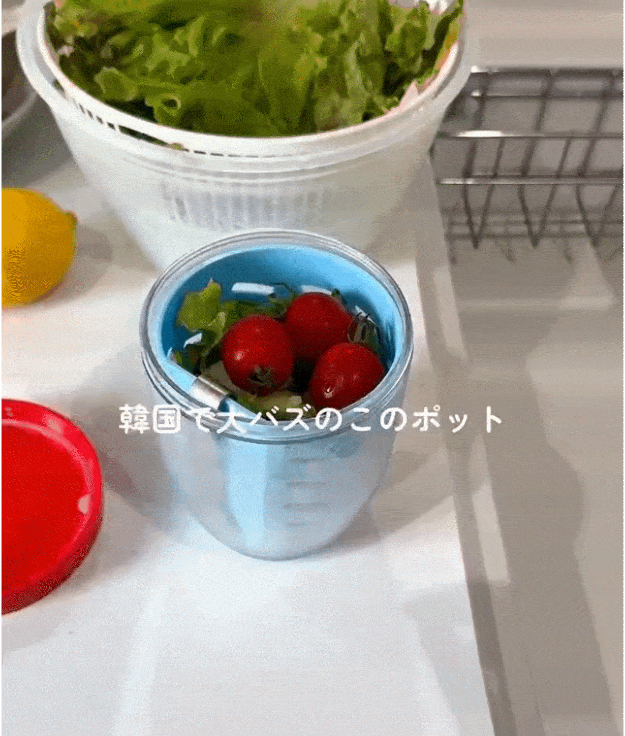 [KEEPER POT] Fruit Container with Built-in Strainer