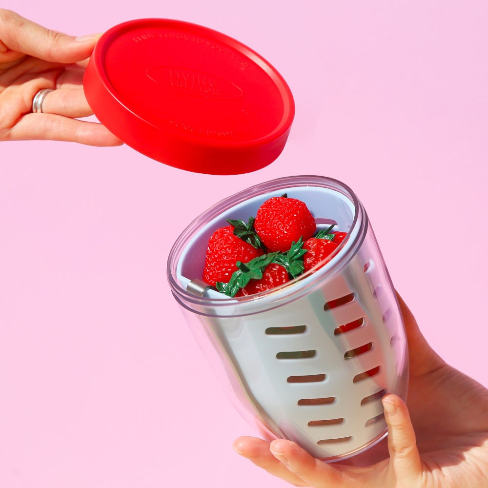 Hand holding a KEEPER POT filled with strawberries
