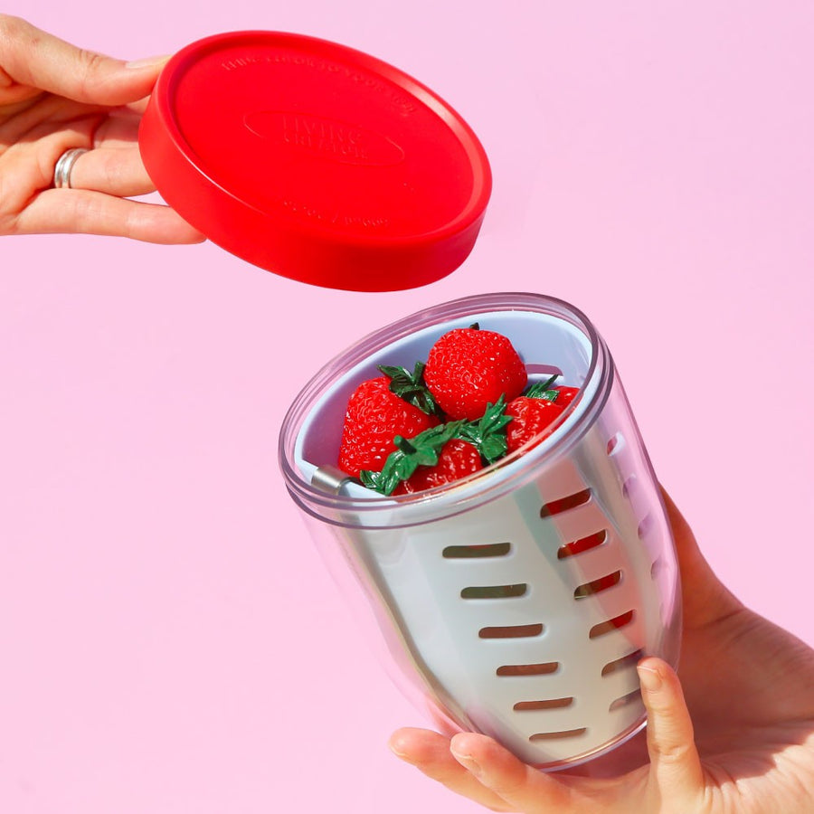 KEEPER POT Fresh Prep Container